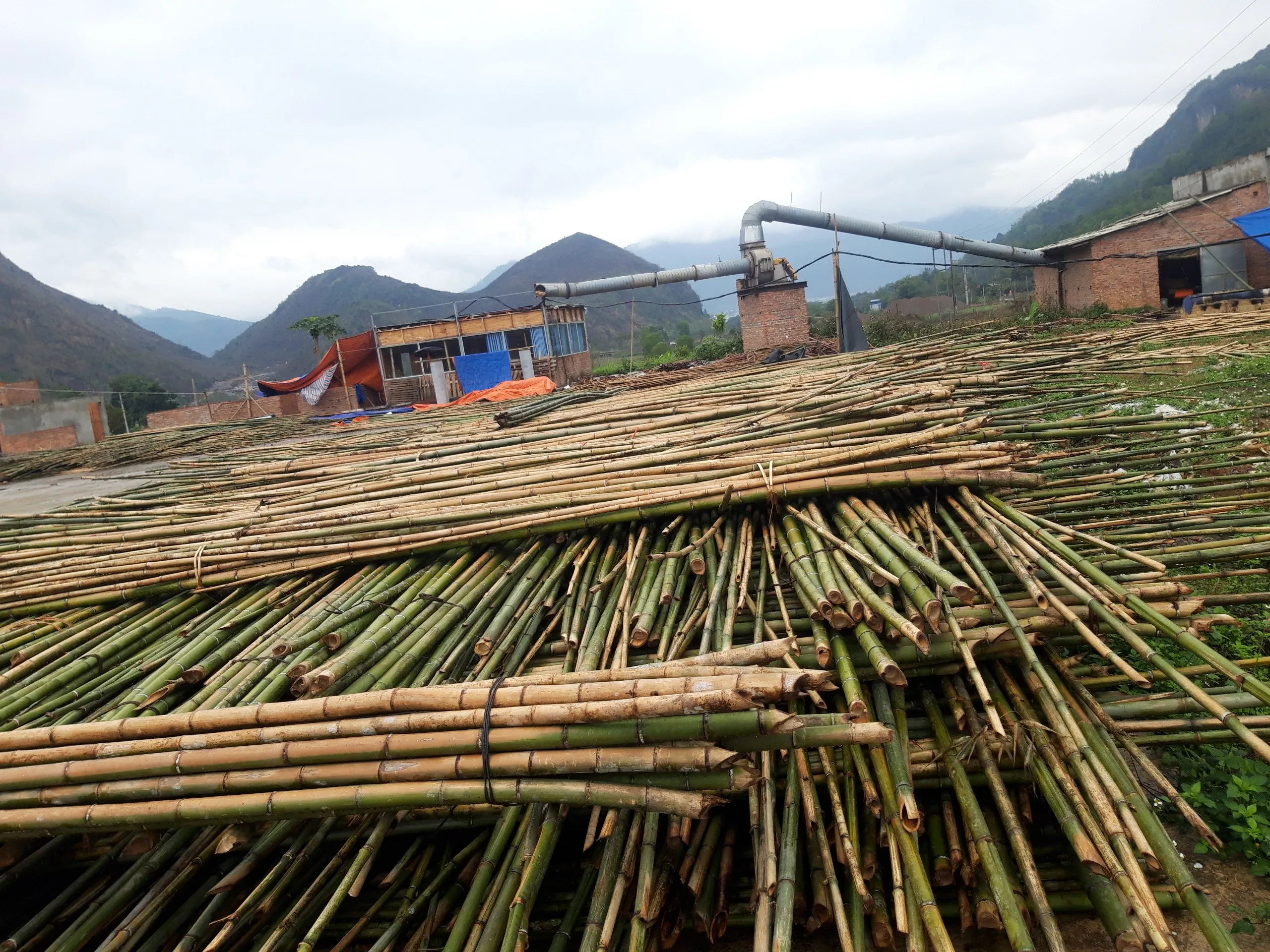 Premium Quality Bamboo Poles From Vietnam for Export - Bamboo Products Hot Selling 2024 With Cheap Price