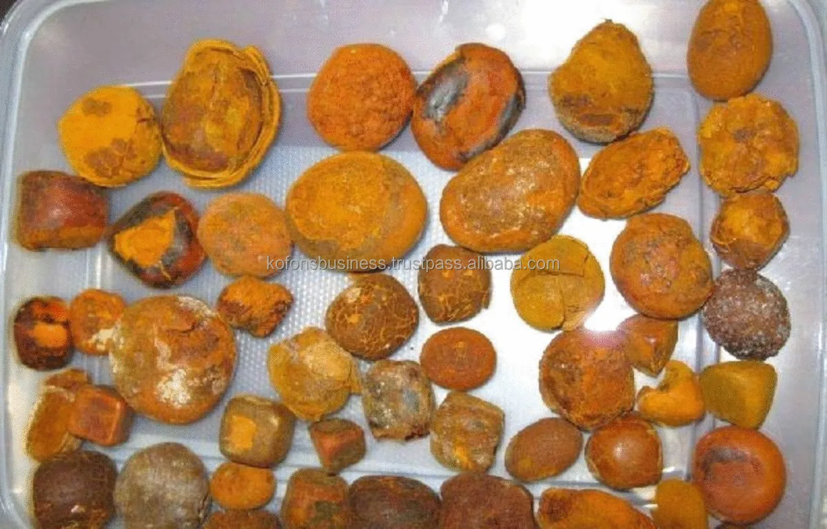 Ox-Cow-Gallstones2.jpg