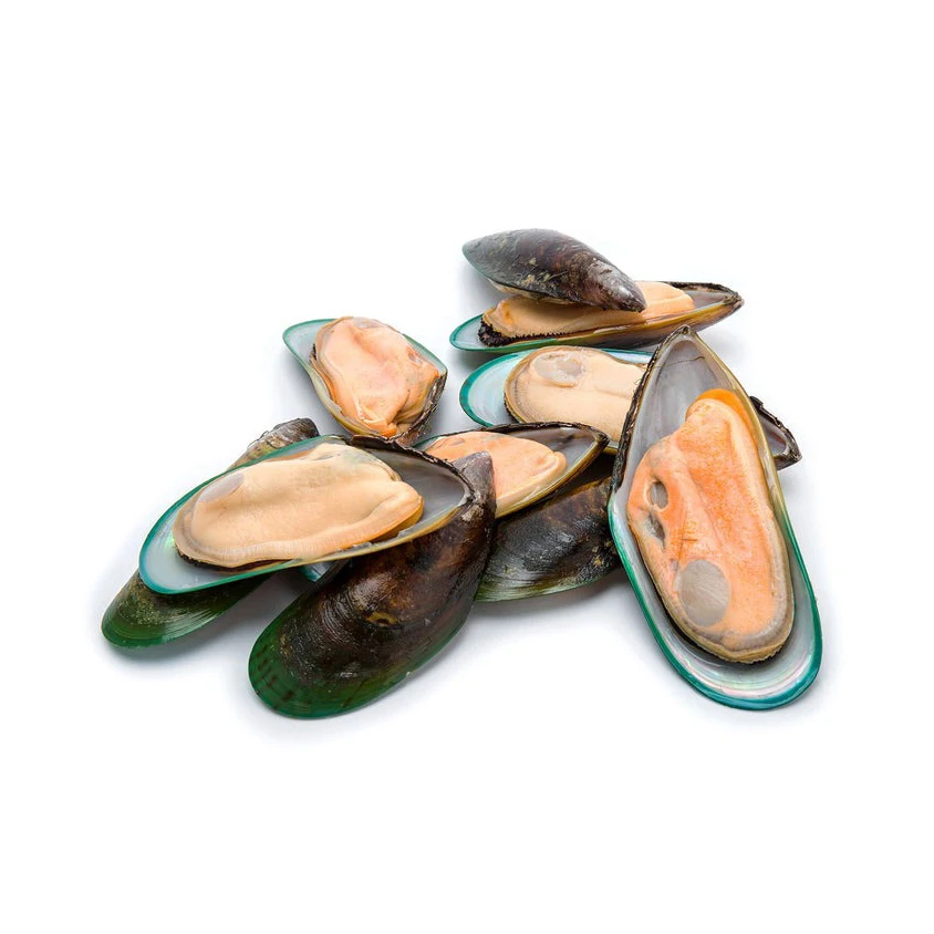 HOT Selling Frozen Shellfish Mussels High manufacturer Best material With cheap rate