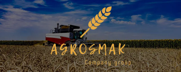 Top quality Durum Wheat grain for food industry and cooking reliable supplier beans and seeds for sale