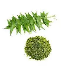 Wholesale Azadirachta Indica Natural Azadirachta Indica Powder/Azadirachta indica extract powder Azadirachtin 40%