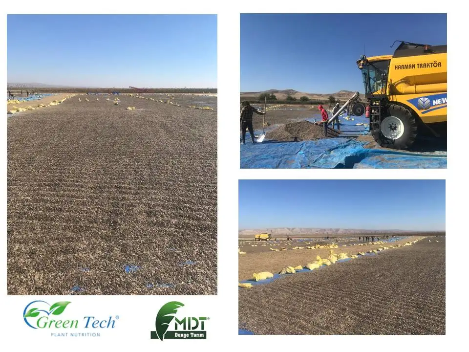 Green tech Int. - Green Tech Stone -S - Soil Regulator - Liquid Sulphur - Organic Acid Complex - Plant Protection Products