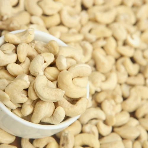 Wholesale dried cashew nuts cheap price W180 big size good quality from VietNam manufacture