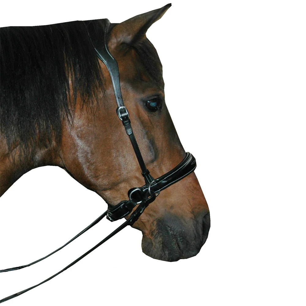 Wholesale High Comfort Fancy Stitched Leather English Bridle with Reins Western Style Horse Halter and Rope Accessory