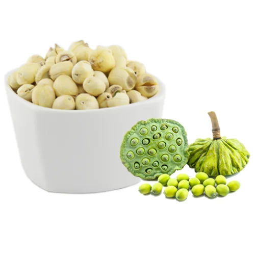 Cheapest Price on Lutus Seeds Buy Now and Enjoy a Flourishing Garden All Year