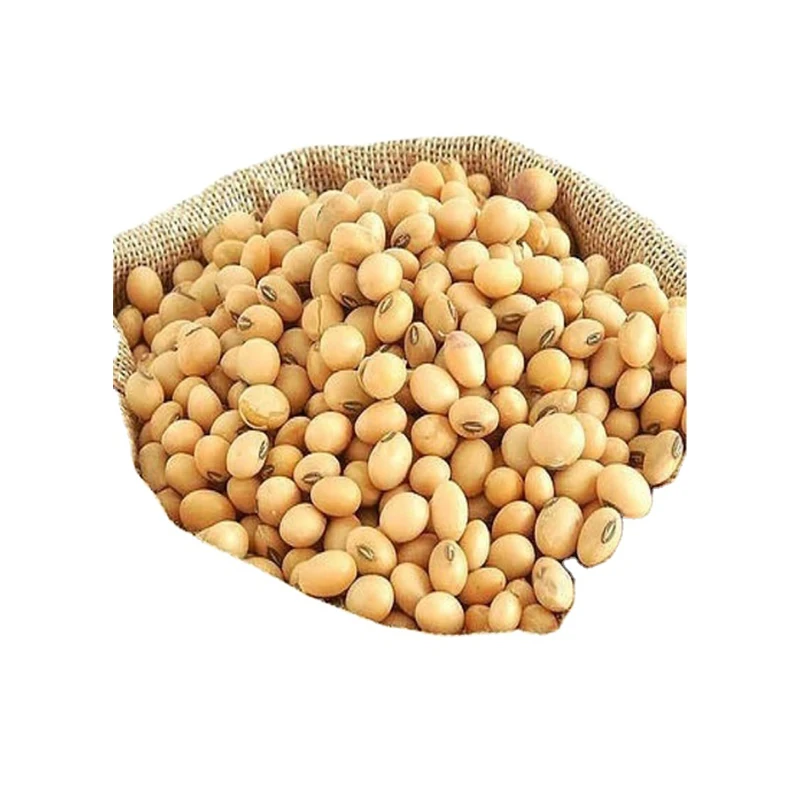 High Grade Soy Beans Raw Soya bean Grain In Bags Organic Bulk Soybeans Seeds For Food For Sale