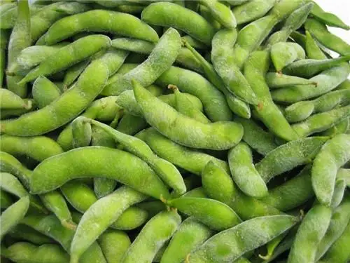 High Quality Frozen Edamame In Shell Frozen Edamame Soybean 0084971886886