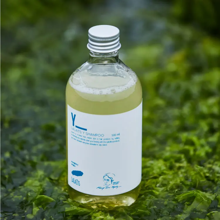 Korean Organic Anti Hair Loss Care Customized Private Label Moisturizing Shampoo