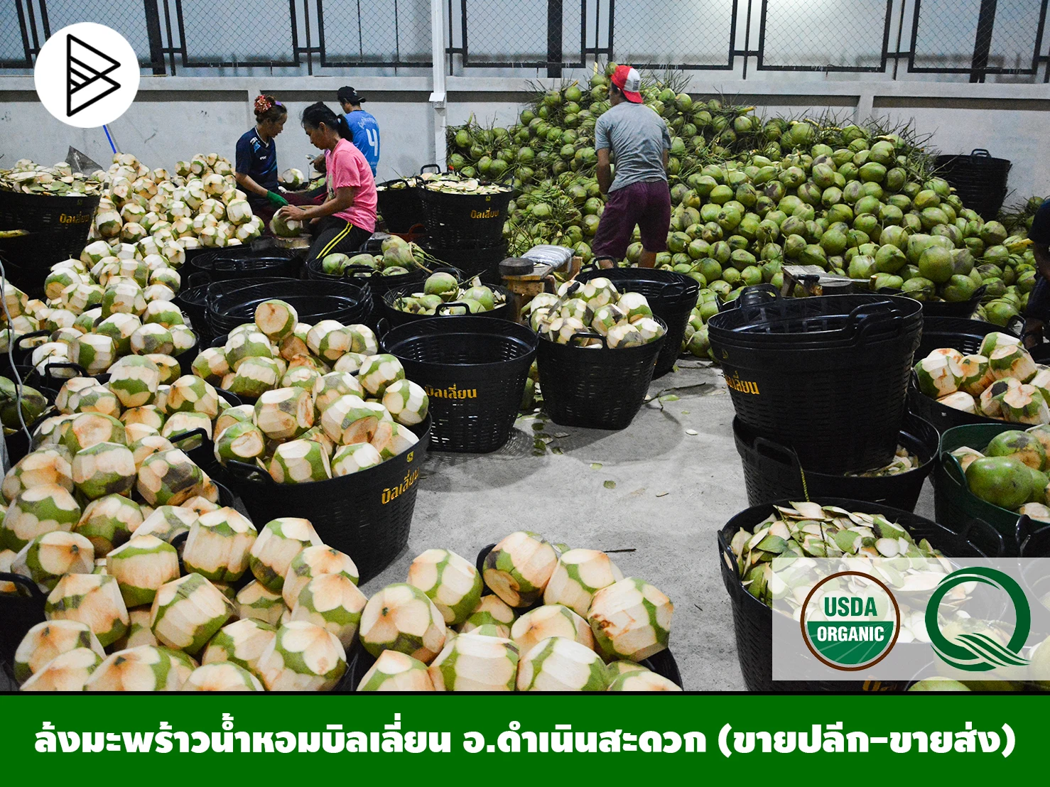 Молодой кокосовый тропический фрукт продукты премиум класса качественный чистый напиток из Таиланда