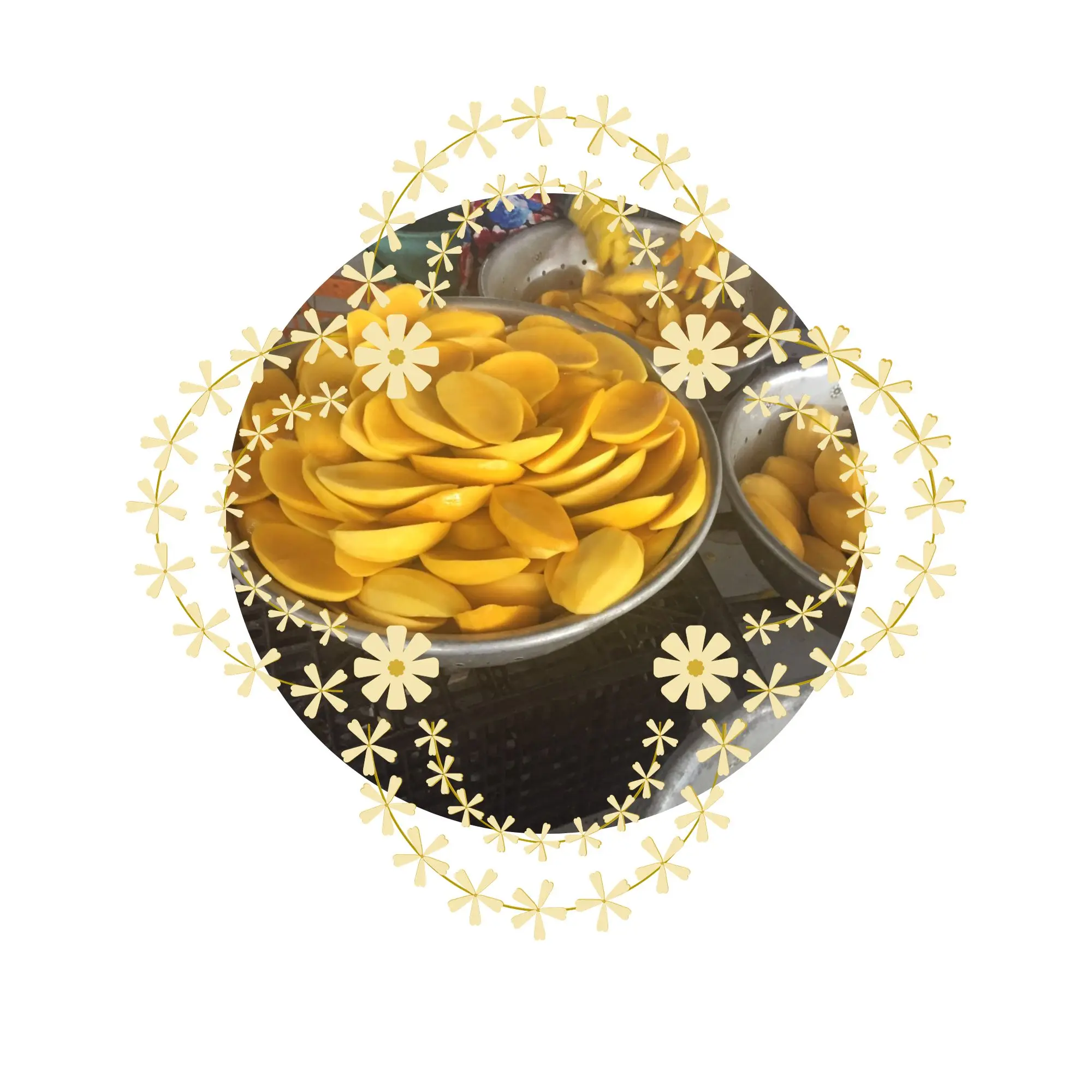 Soft Dried Mango Wholesale Custom Brand Plastic Snack Mango Dried Fruit Package 100gr 200gr