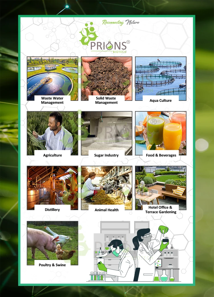 Globally Selling Top Feed Additives Aquaculture Probiotics Immunity Booster Rapid Growth Promoter Gut Booster-PR for Sale