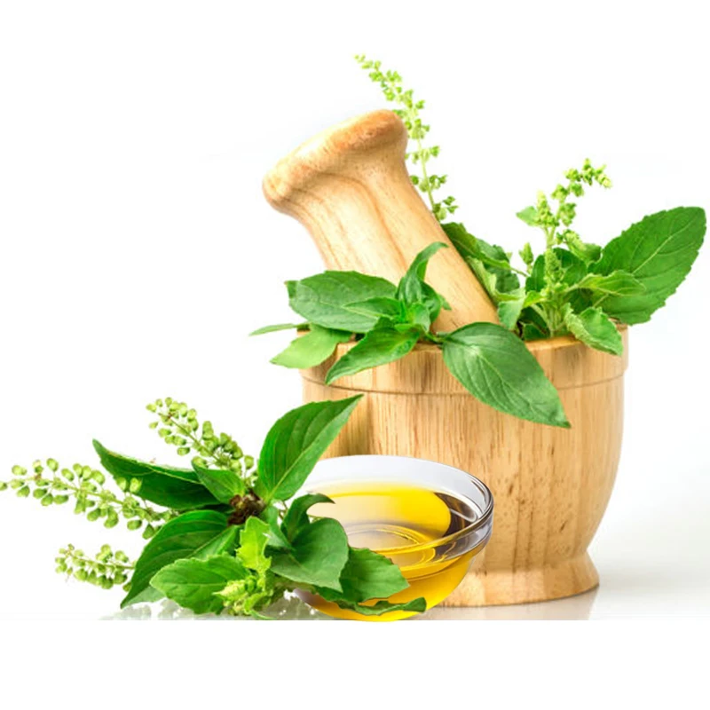 Holy Basil Essential Oil Wholesale at Factory Price India 100% Pure Steam Distilled Oil Used as a Moisturizer