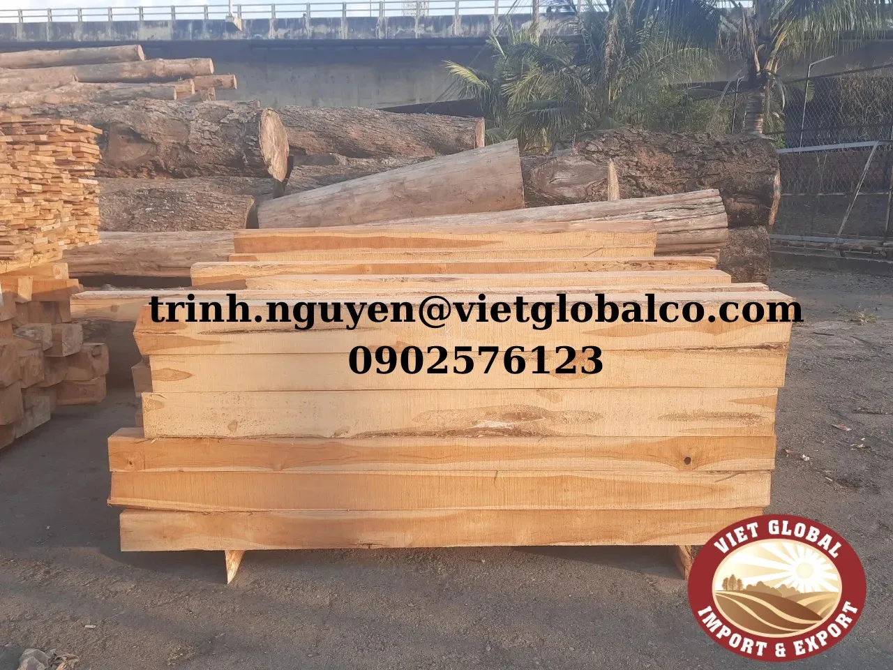 Wood Teak Timber high quality Vietnam factory