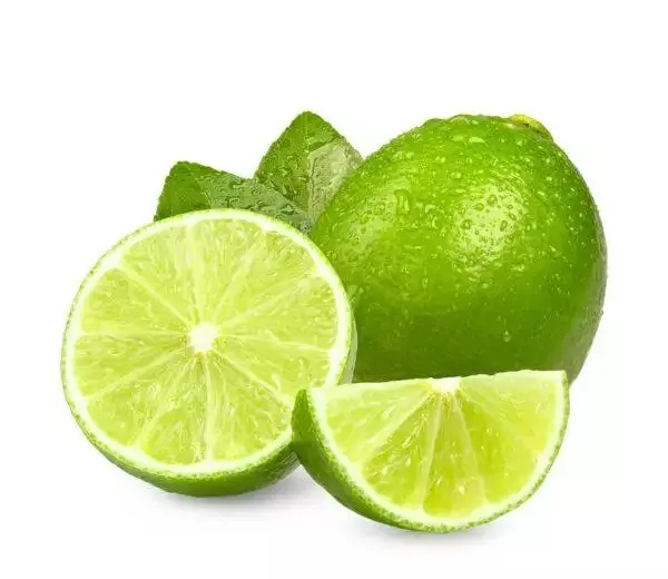 export fresh lemons / quality fresh frozen lemons
