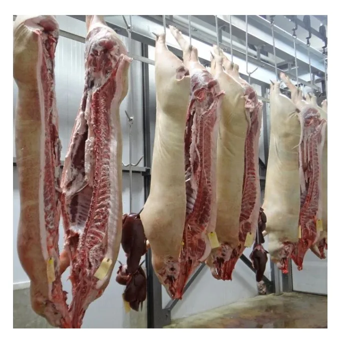 Свежая замороженная свиная туша горячая Распродажа по лучшей оптовой цене