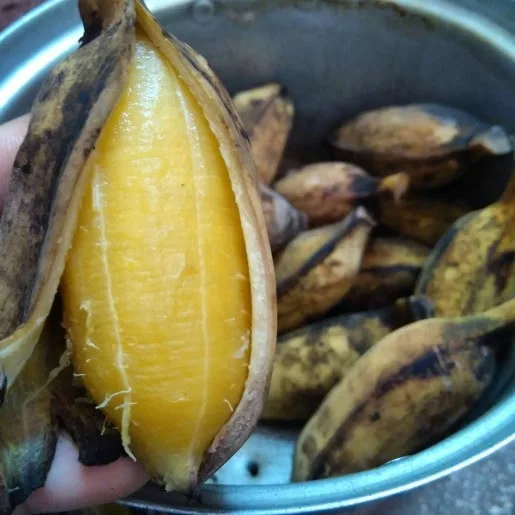 Заморозка бананов огромное количество продажа высший класс замороженный банан в разрезном виде по низкой цене