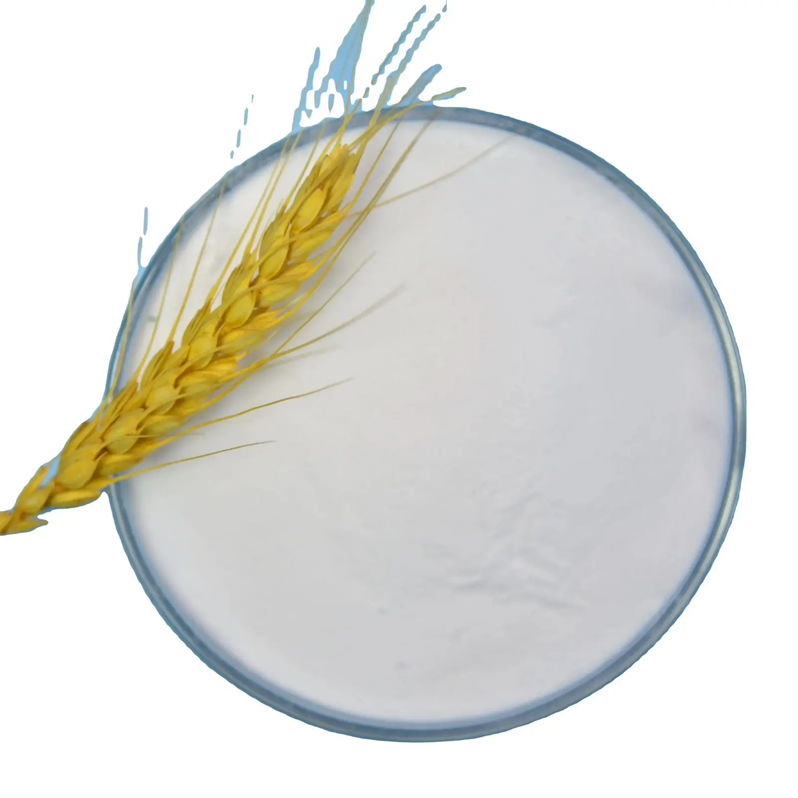 2024 Food grade lactose best quality for sweet sugar liquid lactose powder