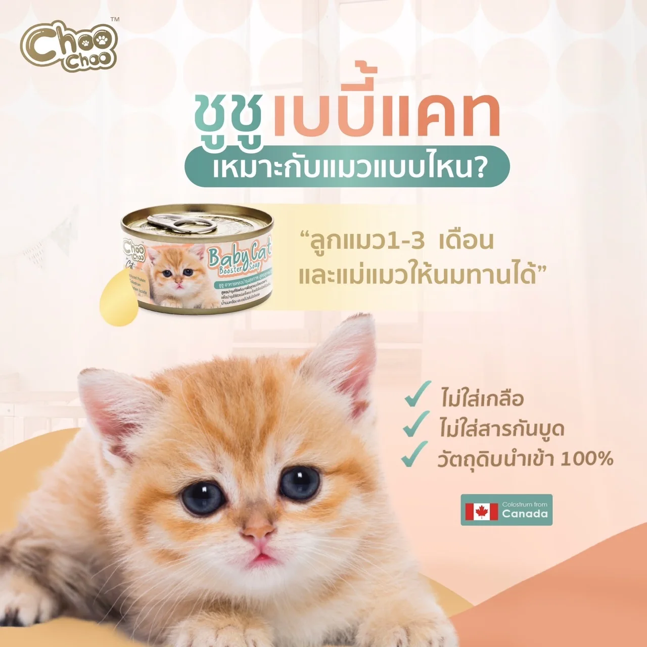 High Quality Best Seller Choo Choo Baby Cat Booster Soup Contains Whey Protein Isolate and Colostrum