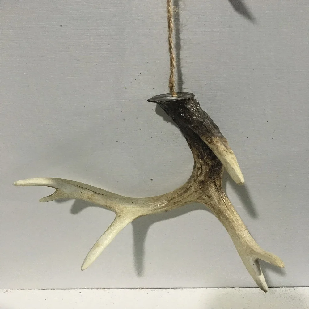 Whole Sale! Red Deer Antlers In Bulk