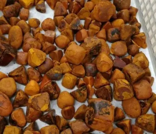 Желчные камни из натурального быка