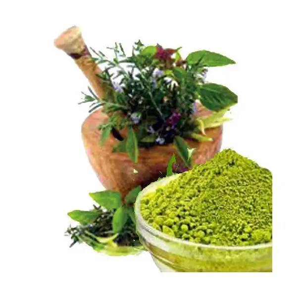 Best Selling Organic Natural Non Allergic Wholesale Hair Dye 500 gms pack