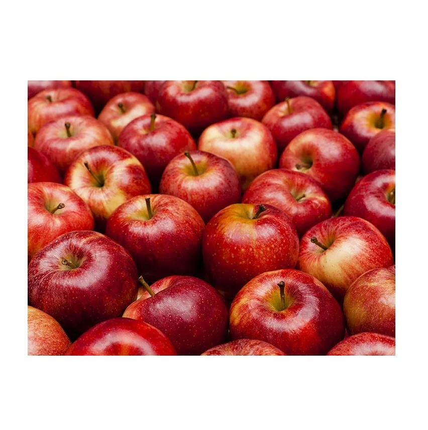 Fresh Apples Red Fuji Royal