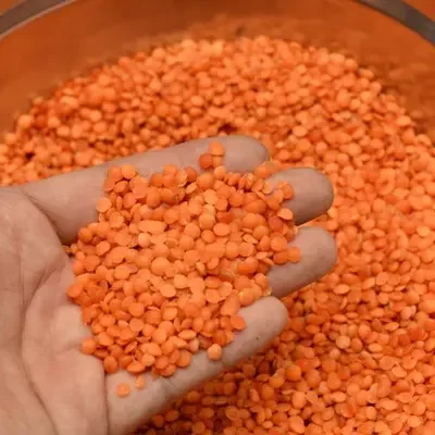 Cheap Red Lentils for bulk sale
