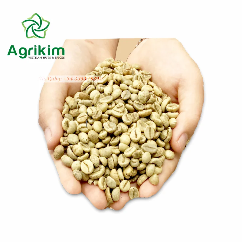 Best Price Robusta Coffee Bean from Vietnam Raw Green Coffee in Bag Packaging Directly Supplied by Mr. Henry +84 36 859 1192