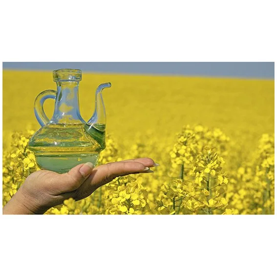 Rapeseed oil Certified Organic 100 % Pure Refined Rapeseed Oil / Canola Oil / Crude degummed ra