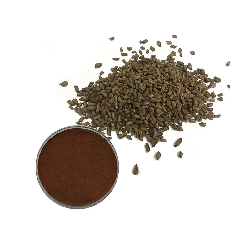Cassia Tora Juemingzi Extract Cassia Seed P.E. Obtuseleaf Senna Seed CatsiatoraLinn
