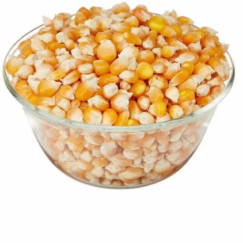 High Quality For SALE Yellow Corn Animal Feed Yellow Corn Price Per Ton Yellow Corn For Animal Feed