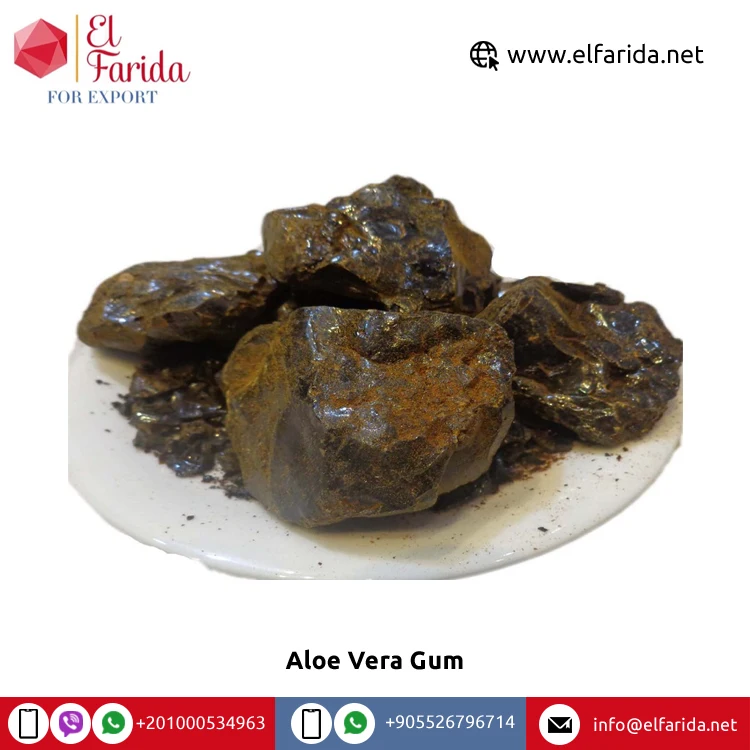 Wholesale Quantity Supplier of Hot Selling New Black Product Aloe Vera Gum for Export from Egypt at Reasonable Price