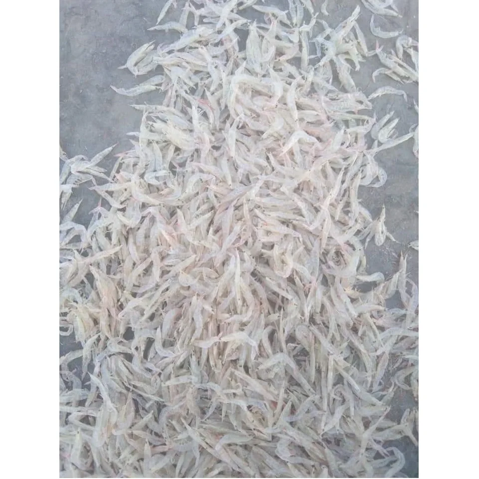Vietnam Small Size Dehydrated Tiny Shrimp Prawn Food Snack Dried Seafood Steamed Natural color Shrimp In Bulk Packaging