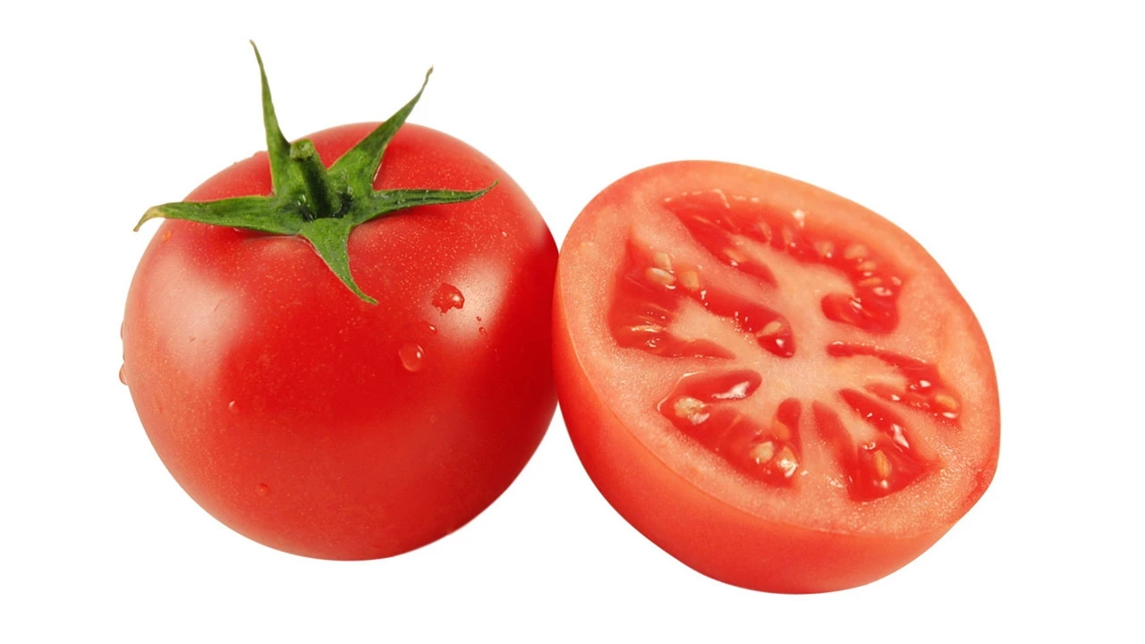 Fresh Tomato Rita Crop for Sale 2022 Fresh Tomato Green OEM Style Organic Weight Origin Type Variety Product ISO Place Model