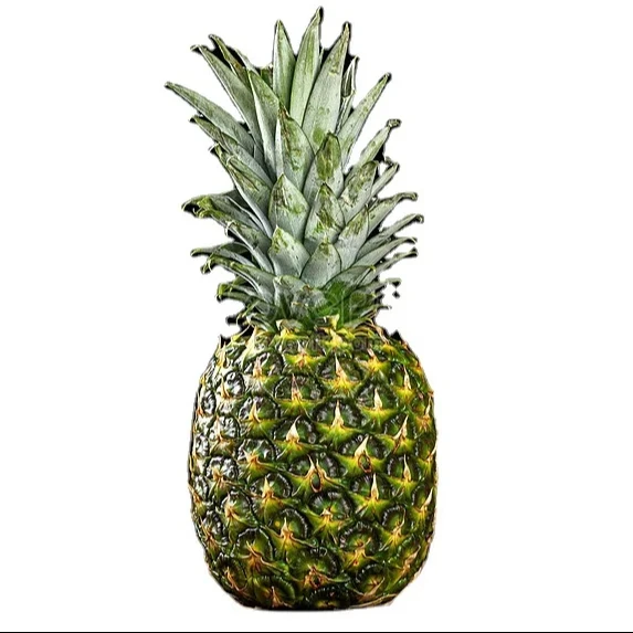 FRESH PINEAPPLE/ FRESH QUEEN PINEAPPLE