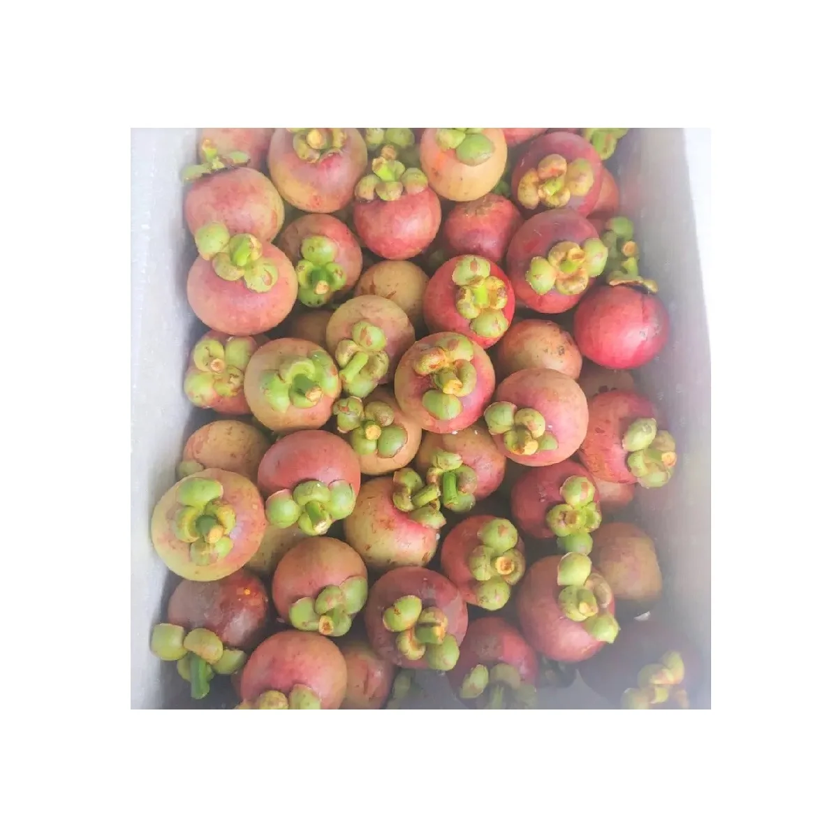 Frozen Preserved Fruits Wholesale High Quality Vietnam Export Frozen Mangosteens With Long Shelf Life