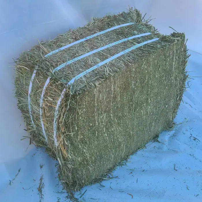 Buy Top Quality Alfafa Hay for Animal Feeding Stuff Alfalfa / Timothy / Alfalfa Hay for Sale