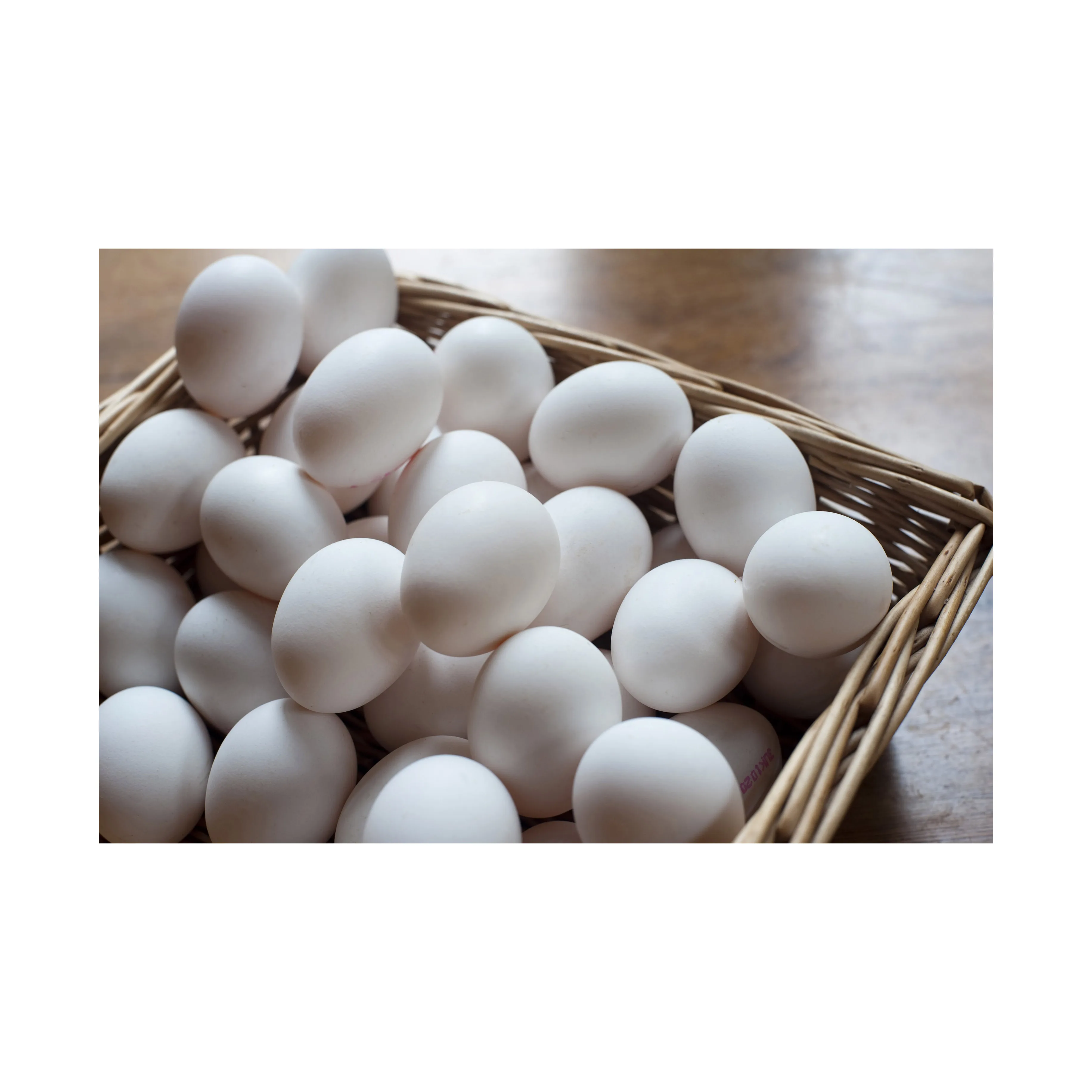 Farm Fresh Chicken Table Eggs / White Supplier of Fresh Protein Rich Farm Chicken Eggs Fresh Table Eggs White Farm