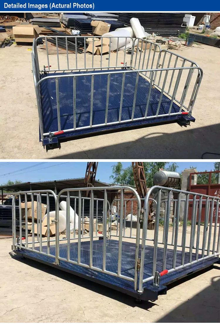 Лидер продаж, электронный цифровой дисплей, весы для взвешивания свиней, крупного рогатого скота и овец