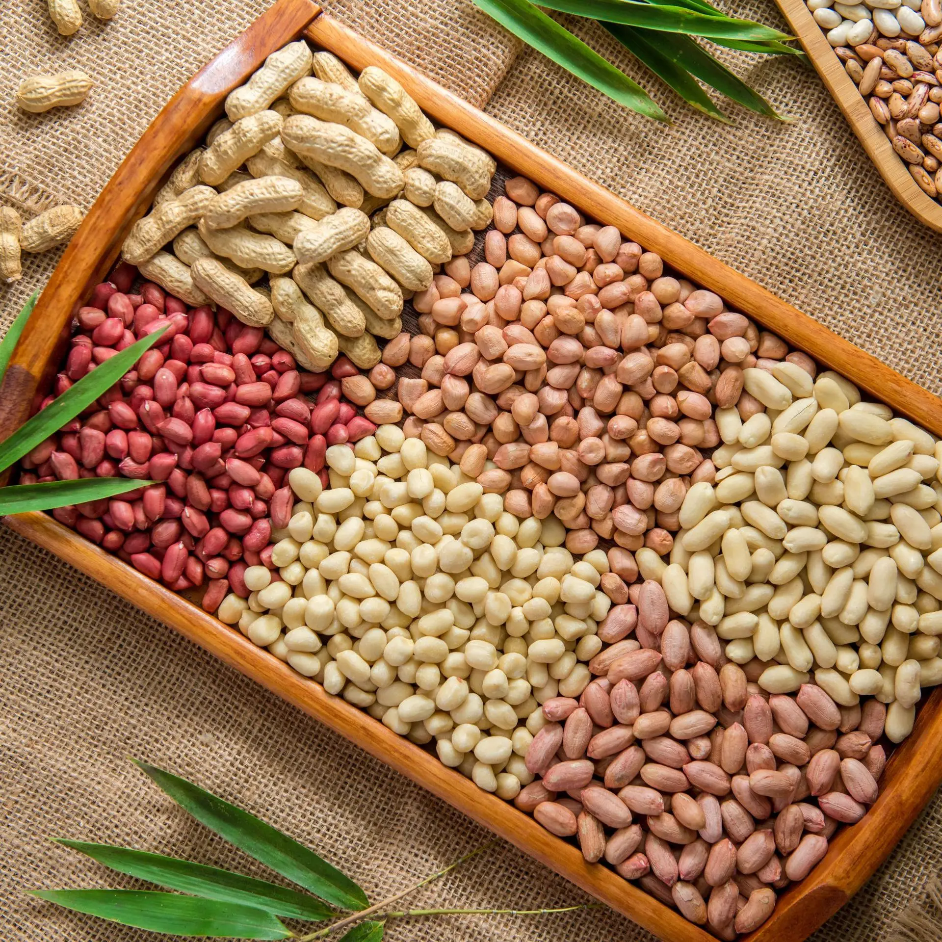 Red Skin Peanuts / Blanched Peanut Kernels / Roasted and Salted Redskin Peanuts