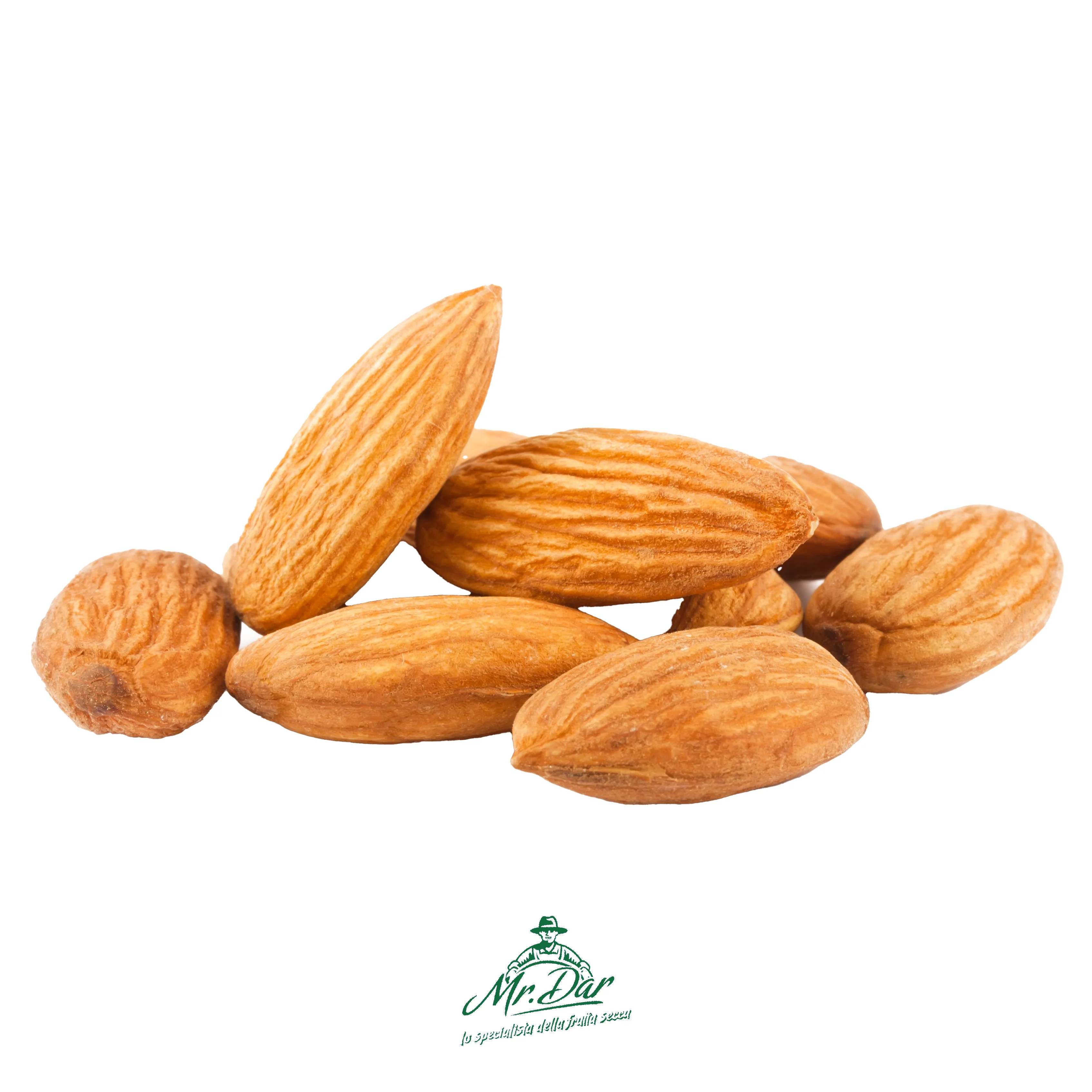 Italian-Style Blanched Dried Snack Almonds Hazelnuts 2kg Vacuum Bag Organic Natural Raw Kernels Processed Wholesale for Food Use
