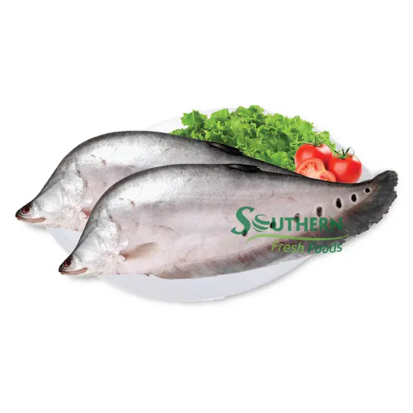 WR Farm Raised SFF Package price wholesale river type safety sea food fish Frozen Featherback Fish from Vietnam