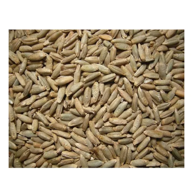 Natural Fermented Rye Malt