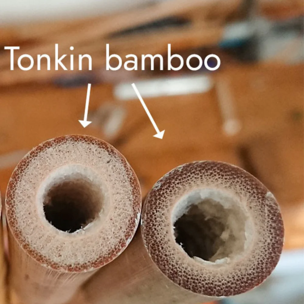 Moso Bamboo Poles Custom Service Natural Bamboo For Decor And Construction Bamboo Cane with Top Company