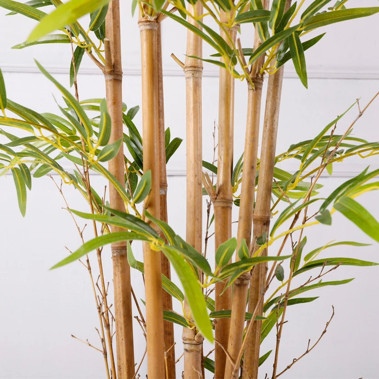 DOLA Bamboo Artificial Plants Outdoor Lucky Bamboo Plant Fake Bamboo Plant