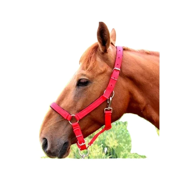 Nylon Halter Red and Black Color With Designer Padded Nose Band Halter intelligent all size available