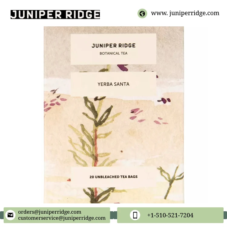 Wholesale Price Health Tea Hot Beverages Herbal Flavor Tea Best Quality Natural Yerba Santa Botanical Tea Bags for Sale