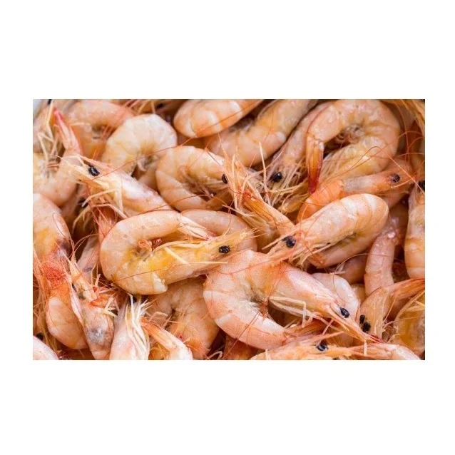 Shrimp (Seafood)