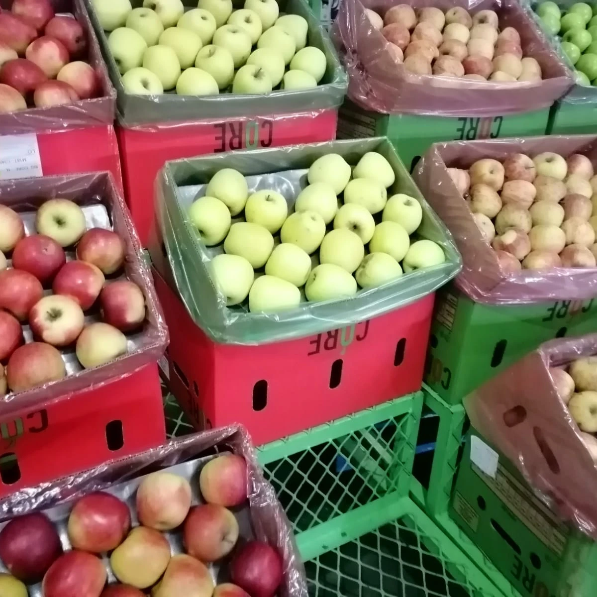 Fresh natural  apples with taste of very sweet