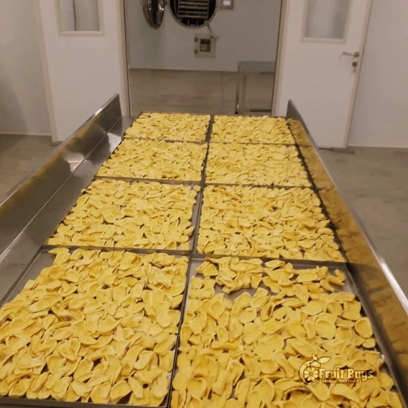 Buy Dried Jackfruit Low MOQ Quantity Freeze fruit is made from ripe fruit so it retains the best flavor and nutrients